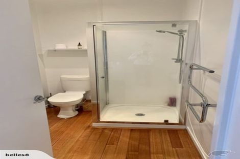 Photo of property in 2b Wilton Street, Grey Lynn, Auckland, 1021