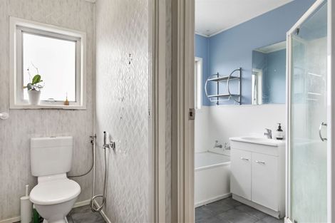 Photo of property in 53 Sunnynook Road, Forrest Hill, Auckland, 0620