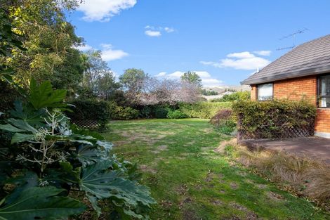 Photo of property in 7 Elisha Drive, Witherlea, Blenheim, 7201