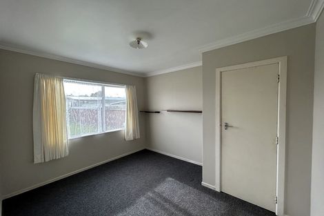 Photo of property in 21 Braemar Street, Levin, 5510