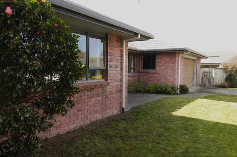 Photo of property in 19 Page Street, Redwoodtown, Blenheim, 7201