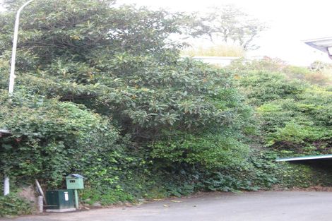 Photo of property in 11 Kowhai Road, Bluff Hill, Napier, 4110