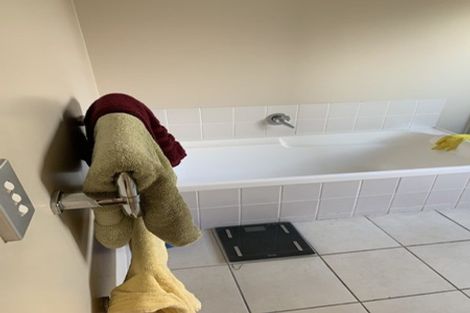 Photo of property in 19 Janway Avenue, Flat Bush, Auckland, 2016