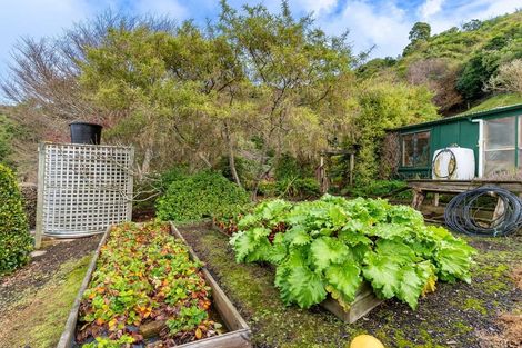 Photo of property in 38 Coombe Hay Terrace, Careys Bay, Port Chalmers, 9023