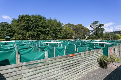 Photo of property in 8 Palmer Mill Road, Wairakei, Taupo, 3384