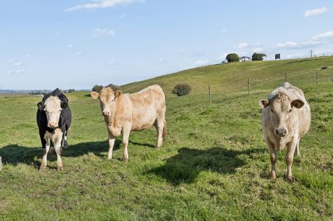 Photo of property in 157b Te Kauwhata Road, Te Kauwhata, 3782