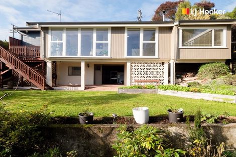 Photo of property in 10 Heath Street, Andersons Bay, Dunedin, 9013