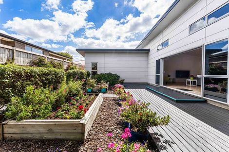 Photo of property in 8 Canmore Street, Pokeno, 2402