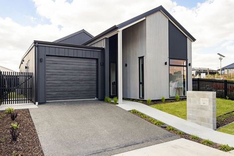 Photo of property in 17 Auburn Green, Peacocke, 3206