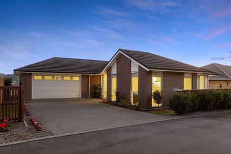 Photo of property in 167 John Burke Drive, Aotea, Porirua, 5024