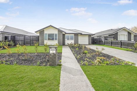 Photo of property in 6 Harp Street, Morrinsville, 3300