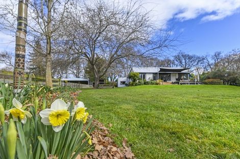 Photo of property in 543 Raukawa Road, Raukawa, 4174