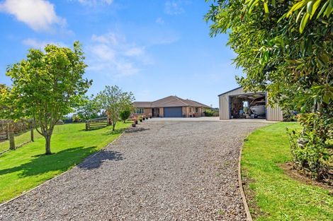 Photo of property in 233 Waipapa Block Road, Whakamarama, Tauranga, 3180