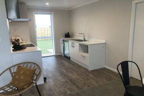 Photo of property in 87 Hinemoa Street, Levin, 5510