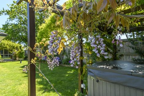 Photo of property in 15 Tall Oaks Way, Bethlehem, Tauranga, 3110