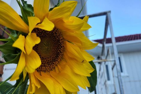 Photo of property in 552 Swanson Road, Ranui, Auckland, 0612