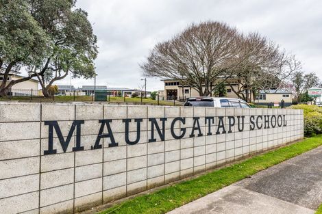 Photo of property in 246 Maungatapu Road, Maungatapu, Tauranga, 3112