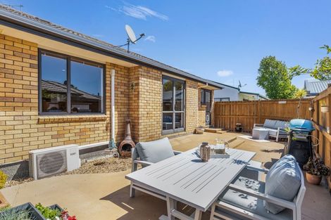 Photo of property in 33 Litchfield Street, Redwoodtown, Blenheim, 7201