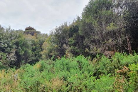 Photo of property in 18 Sanctuary Place, Kumara Junction, Hokitika, 7882