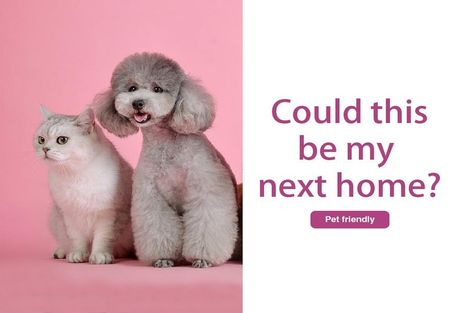 Photo of property in 7/10 Browning Street, Sydenham, Christchurch, 8023