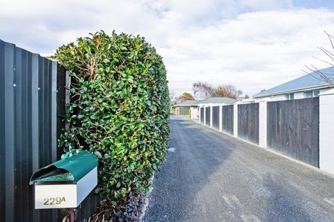 Photo of property in 229a Chelmsford Street, Waverley, Invercargill, 9810