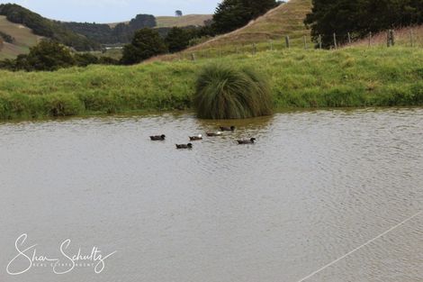 Photo of property in 215c Heatley Road, Whakapirau, 0583