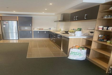 Photo of property in Monument Apartments, 3d/245 Wakefield Street, Te Aro, Wellington, 6011