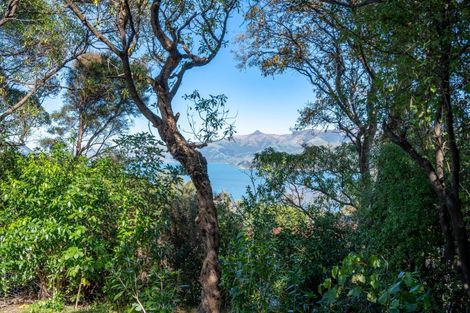 Photo of property in 25 Ngaio Grove, Robinsons Bay, 7581