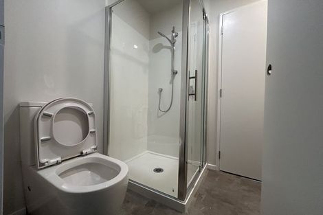 Photo of property in 45c Ryan Street, Phillipstown, Christchurch, 8011