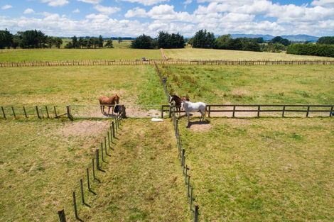 Photo of property in 119c Dixons Line, Bunnythorpe, Palmerston North, 4481