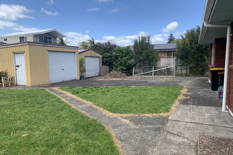 Photo of property in 198 Moffat Road, Bethlehem, Tauranga, 3110