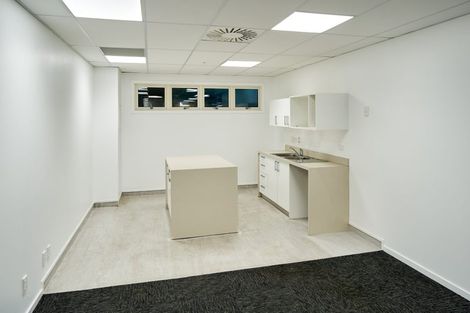 Photo of property in 5 Kent Terrace, Mount Victoria, Wellington, 6011