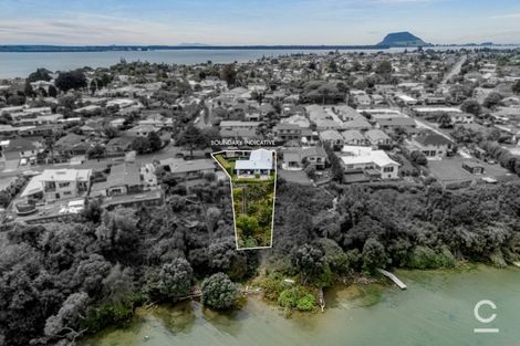 Photo of property in 23 Rewarewa Place, Matua, Tauranga, 3110