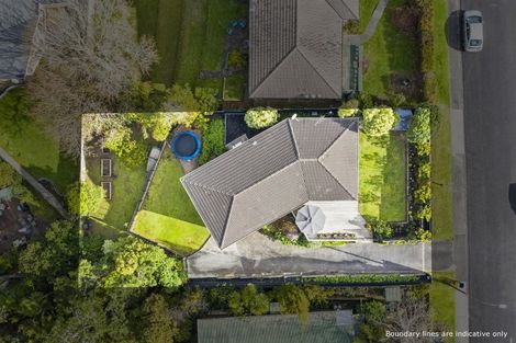 Photo of property in 41 Woodstock Road, Forrest Hill, Auckland, 0620