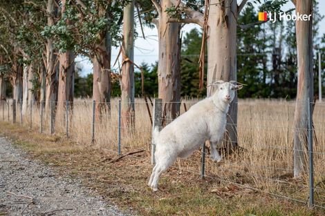 Photo of property in 6189 Middlemarch-sutton Road, Middlemarch, 9597