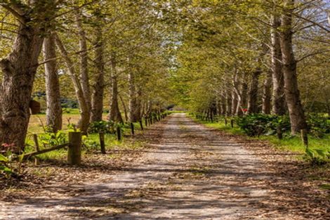 Photo of property in 11 Dip Road, Kaeo, 0479