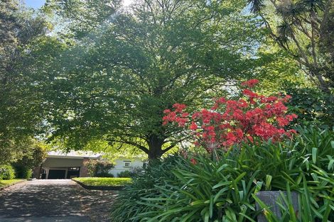 Photo of property in 18 Skerman Street, Marton, 4710