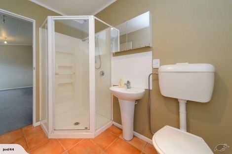 Photo of property in 97 Pitt Street, Palmerston North, 4410