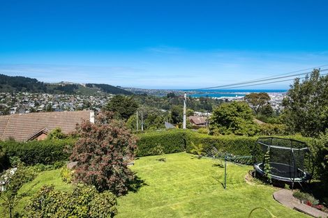 Photo of property in 46 Barclay Street, Liberton, Dunedin, 9010