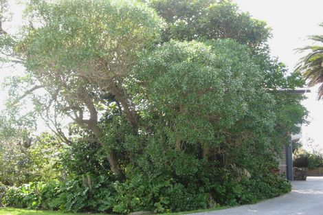 Photo of property in 74 Murphy Road, Wainui, Gisborne, 4010