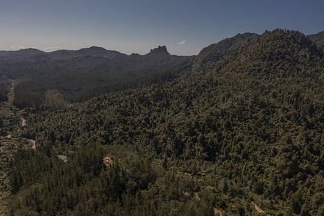 Photo of property in 800 The 309 Road, Waiau, Coromandel, 3581