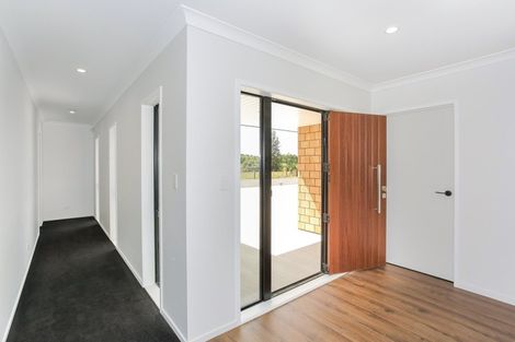 Photo of property in 137 Hunt Road, Pukekawa, Tuakau, 2696