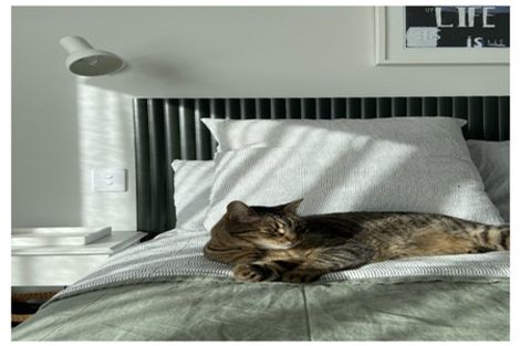 Photo of property in 37a Judea Road, Judea, Tauranga, 3110