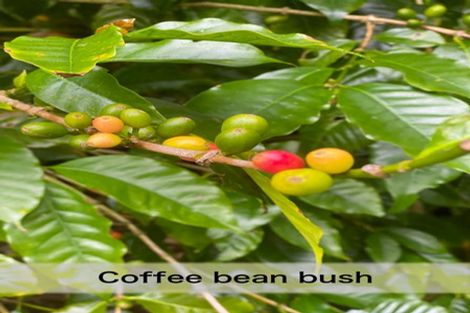 Photo of property in 4 Te Pahi River Drive, Paparoa, Maungaturoto, 0583