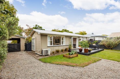 Photo of property in 382 Ruahine Street, Terrace End, Palmerston North, 4410