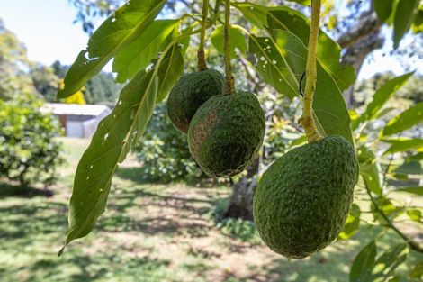 Photo of property in 78 Boscabel Drive, Ohauiti, Tauranga, 3112