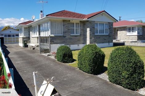 Photo of property in 6 Winchester Street, Levin, 5510