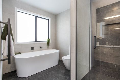 Photo of property in 2 Silver Fern Avenue, Hobsonville, 0616