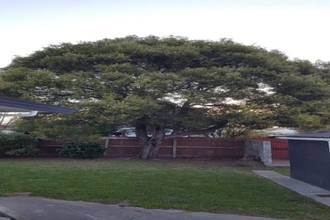 Photo of property in 14 Faulkland Drive, Witherlea, Blenheim, 7201