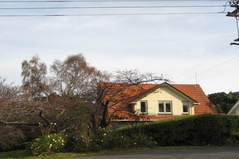 Photo of property in 1 Wallace Street, Roslyn, Dunedin, 9010